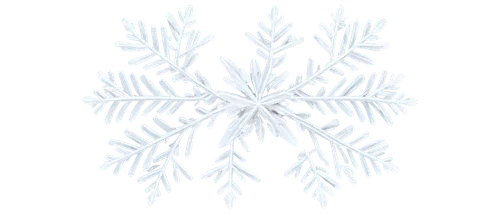 snowflake background,christmas snowflake banner,snow flake,blue snowflake,white snowflake,snowflake,ice crystal,wreath vector,snowflakes,summer snowflake,snow drawing,gold foil snowflake,winter aster,christmas tree pattern,christmas pattern,heracleum (plant),christmas snowy background,winter background,red snowflake,christmas motif,Illustration,Japanese style,Japanese Style 17