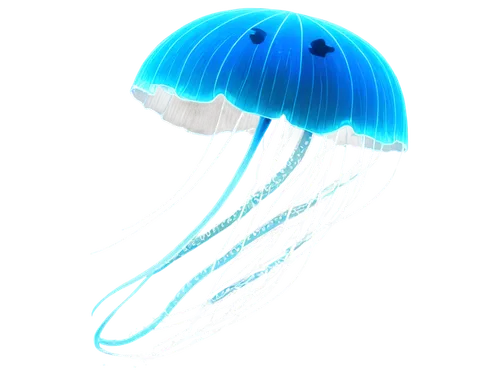 blue mushroom,jellyfish,cnidaria,parasol,mushroom hat,cloud mushroom,mushroom,forest mushroom,mushroom type,lion's mane jellyfish,jellies,parasols,small mushroom,sea jellies,lingzhi mushroom,jellyfish collage,coprinopsis picacea,club mushroom,box jellyfish,cnidarian,Art,Classical Oil Painting,Classical Oil Painting 11