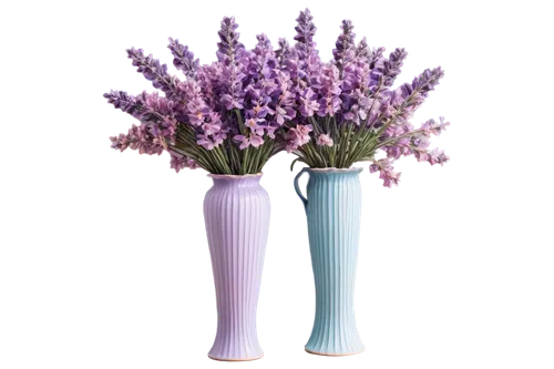 flower vases,lavandula,flowers png,vases,lavender flowers,soprano lilac spoon,lavender bunch,funeral urns,lilac arbor,flower vase,flower pot holder,french lavender,fernleaf lavender,grape hyacinths,egyptian lavender,lavendar,india hyacinth,hyacinths,english lavender,muscari,Illustration,Vector,Vector 11