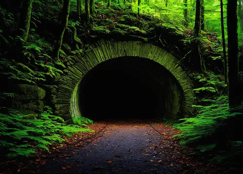 Describe a dark and eerie tunnel hidden deep within a haunted forest. ,canal tunnel,tunnel,wall tunnel,lava tube,lötschberg tunnel,railway tunnel,hollow way,torii tunnel,slide tunnel,tunnel of plants,