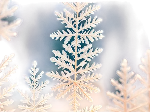 snowflake background,christmas snowy background,winter background,christmas snowflake banner,watercolor christmas background,christmasbackground,snow in pine trees,hoarfrost,christmas background,snow trees,fir tree decorations,christmas wallpaper,fir needles,snow tree,snowy tree,white snowflake,blue spruce,snow in pine tree,coniferous,fir-tree branches,Conceptual Art,Oil color,Oil Color 16