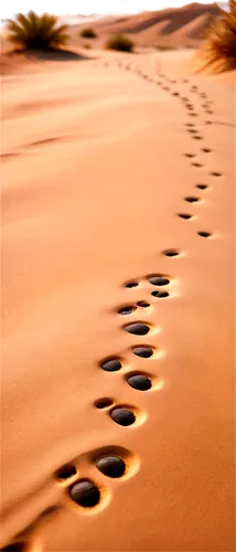 Desert landscape, cheetah's paw prints, sandy terrain, gentle slope, morning sunlight, warm beige color tone, shallow depth of field, soft focus, 3/4 composition, realistic texture, detailed fur patte