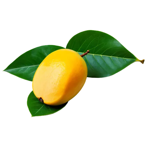 lemon background,lemon wallpaper,lemon tree,lemon - fruit,lemon,yellow fruit,citron,lemon half,poland lemon,mangue,slice of lemon,citrus,kumquat,lemons,lemon lemon,mango,lemon flower,lemon tea,yellow berry,satsuma,Art,Classical Oil Painting,Classical Oil Painting 21