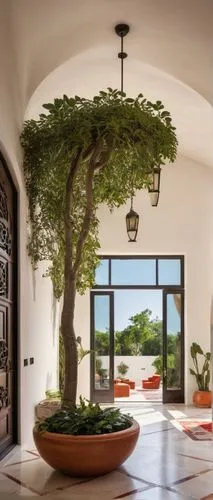 Modern casa, luxury villa, Mediterranean style, white stucco exterior, red terracotta roof, grand entrance, wooden door, ornate ironwork, lush greenery, tropical plants, interior courtyard, natural st