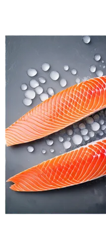 sockeye,fish scales,sashimi,salmon fillet,salmon,cinema 4d,surface tension,wild salmon,nigiri,gravlax,surimi,sushi art,koi carps,feather on water,sushi plate,poissons,microcapsules,spearheads,microparticles,salmoneus,Art,Classical Oil Painting,Classical Oil Painting 35