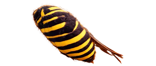 Close-up, wasp nest, macro photography, detailed insect body, yellow and black stripes, thin wings, compound eyes, shiny exoskeleton, busy flying, natural light, bokeh background, shallow depth of fie