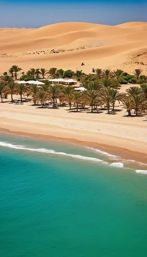 A tranquil paradise unfolds in Dakhla, with golden sand dunes stretching as far as the eye can see, providing the perfect backdrop for a serene beach retreat. The sun casts a warm, golden glow over th