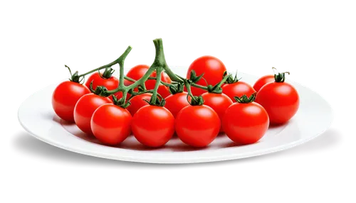 lycopene,pomodoro,cherry tomatoes,tomatis,red tomato,tomato,tomatoes,tomatsu,grape tomatoes,tomatos,plum tomato,roma tomatoes,panicle tomato,vine tomatoes,greed,red bell peppers,roma tomato,romas,wavelength,tomato sauce,Illustration,Realistic Fantasy,Realistic Fantasy 29