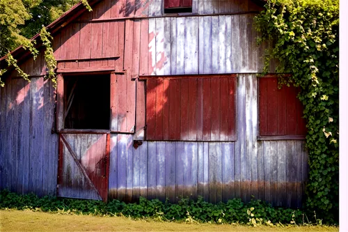 Rural landscape, old wooden barn, rusty metal roof, worn-out doors, overgrown with vines, ivy climbing walls, broken windows, scattered hay, afternoon sunlight, warm color tone, soft focus, cinematic 