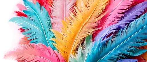 parrot feathers,color feathers,peacock feathers,feathers,feather headdress,peacock feather,beak feathers,feather jewelry,feather,chicken feather,plumas,pigeon feather,plumes,bird feather,ostrich feather,hawk feather,feather boa,plumage,feathers bird,feathery,Conceptual Art,Fantasy,Fantasy 24