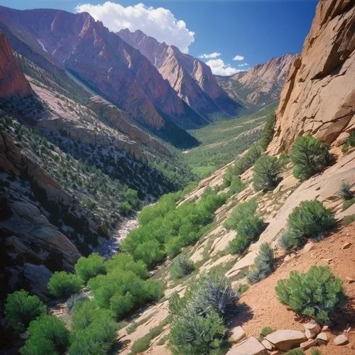 red rock canyon,zion national park,oheo gulch,utah,canyon,bright angel trail,zion,salt meadow landscape,valley of fire state park,alluvial fan,arizona,rio grande river,fairyland canyon,valley,fallen giants valley,colorado,cliff dwelling,street canyon,mountain river,valley of fire,Illustration,Paper based,Paper Based 15