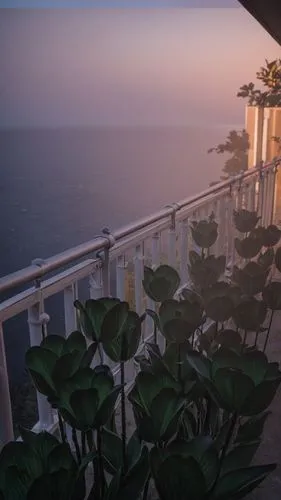 uluwatu,oceanview,balcony garden,oceanfront,balcony,ocean view,block balcony,penthouses,huatulco,esalen,amanzimtoti,mazatlan,varkala,sundeck,vallarta,balcon,terrasses,seaview,sea view,terrazza,Photography,Documentary Photography,Documentary Photography 14