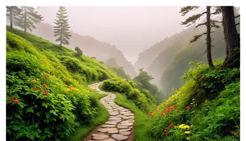 Serene nature scene, misty mountains, lush green trees, vines crawling up trunks, colorful flowers blooming, winding stone path, morning fog, soft golden light, panoramic view, cinematic composition, 