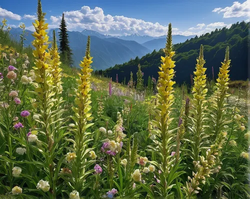 the valley of flowers,alpine meadow,alpine flowers,alpine meadows,mountain meadow,meadow plant,central tien shan,fireweed,alpine flower,wild meadow,wild horsemint,motherwort,lupines,alpine region,carpathians,flowering meadow,alpine sea holly,tatra mountains,south-tirol,meadow flowers,Illustration,Realistic Fantasy,Realistic Fantasy 12