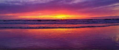 ponte vedra beach,sunset beach,sunrise beach,tybee island,coast sunset,st augustine beach,splendid colors,hilton head,carlsbad,purple landscape,pink beach,easter sunrise,purple and pink,gulf coast,purpleabstract,purple and gold,pink dawn,red-purple,violet colour,pink-purple,Illustration,American Style,American Style 02