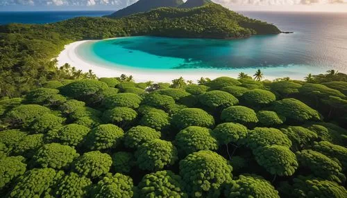 french polynesia,seychelles,moorea,raja ampat,cook islands,indonesia,rabaul,southern island,fiji,kei islands,maldive islands,philippines,tahiti,andaman sea,widi islands,samoa,halmahera islands,mauritius,padarisland,seychelles scr,Photography,General,Realistic