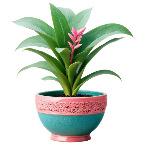 potted plant,terracotta flower pot,potted palm,bromelia,flowerpot,tropical floral background,houseplant,hostplant,flower pot,pot plant,plant pot,wooden flower pot,garden pot,flower background,green plant,succulent plant,container plant,money plant,calathea,small plant,Illustration,Vector,Vector 06