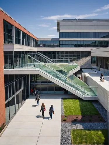 esade,epfl,bocconi,biotechnology research institute,ucd,njitap,langara,embl,politecnico,technion,ucsf,bicocca,ucsd,schulich,audencia,ubc,uoit,new building,sfu,eskenazi,Photography,Documentary Photography,Documentary Photography 27