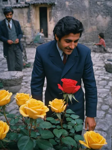 kurdistan,turkestan tulip,afghani,iranian nowruz,persian poet,holding flowers,mexican petunia,peruvian women,tajikistan,persian,rosa nutkana,color image,vendor,iranian,novruz,persian norooz,rosa bonita,habaneras,flower delivery,afghan,Photography,Documentary Photography,Documentary Photography 12