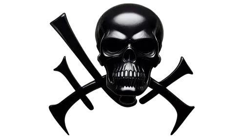 punisher,endoskeleton,reaper,grim reaper,grimm reaper,crossbones,skelemani,scull,skulked,skulled,darkforce,terminator,eradicator,skelton,skelly,skulk,executioner,darklord,derivable,skully,Conceptual Art,Daily,Daily 12