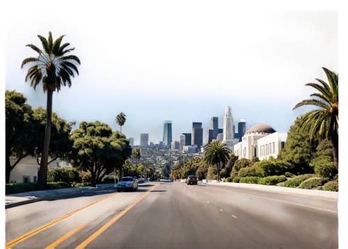 californie,californica,californicum,los angeles,angeleno,californian,wilshire,hollyfield,kalifornia,hollywoodland,losangeles,californication,mulholland,altadena,calfornia,city scape,californiensis,caltrans,la,angelenos,Illustration,Vector,Vector 15