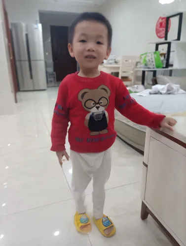 baby & toddler clothing,shenyang,oliang,huqin,xuan lian,xing yi quan,yantian,yibin,pororo the little penguin,luo han guo,chinese new year,little panda,cute baby,beihai,infant bodysuit,viet nam,shuai j