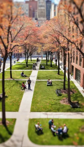 Describe a tranquil afternoon at Tisch Campus.,tilt shift,urban park,center park,battery park,central park,lafayette square,capitol square,green space,paved square,northeastern,city park,spring garden