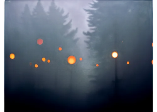 foggy forest,dusk background,forest background,forest dark,haunted forest,coniferous forest,fireflies,dense fog,forest,halloween background,foggy landscape,forests,spruce forest,mist,ghost forest,the forest,fir forest,fog,forest of dreams,forest fire,Illustration,Japanese style,Japanese Style 17