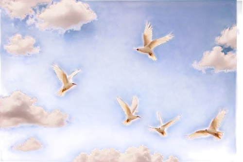 doves of peace,birds flying,birds in flight,flying birds,dove of peace,peace dove,bird in the sky,flying geese,flock of birds,doves,bird flight,flying sea gulls,papillons,geese flying,cygnes,migratory birds,butterfly background,doves and pigeons,pigeon flight,bird flying,Illustration,Realistic Fantasy,Realistic Fantasy 09