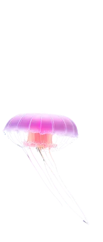 ufo,ufo intercept,unidentified flying object,airburst,orbited,flying sparks,volumetric,rotating beacon,cart transparent,missle,ufos,lightcraft,funjet,hyperspace,detonation,flying object,ufo interior,orb,airship,exploitable,Illustration,Black and White,Black and White 12