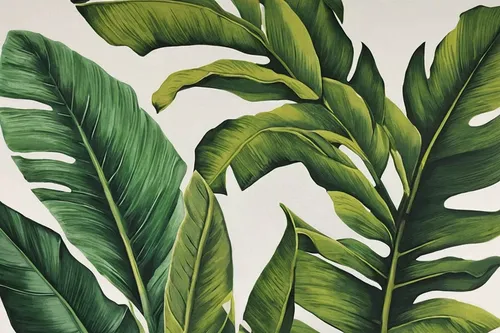 tropical leaf pattern,tropical leaf,botanical print,jungle leaf,monstera,oleaceae,leaf drawing,leaves,tropical greens,jungle drum leaves,walnut leaf,green foliage,palm leaves,foliage leaves,monstera deliciosa,fig leaf,tobacco leaves,green leaves,palm leaf,coconut leaf,Conceptual Art,Fantasy,Fantasy 29