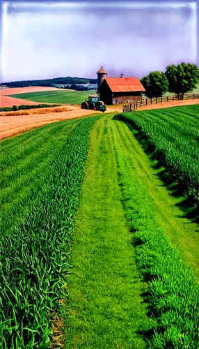 farm landscape,farmland,barley field,uckermark,greenfeld,wheat field,rye field,green fields,wheat crops,grain field,cultivated field,landschaft,farm background,campagne,wheat fields,rural landscape,fricourt,onion fields,grain field panorama,green wheat,Conceptual Art,Graffiti Art,Graffiti Art 02