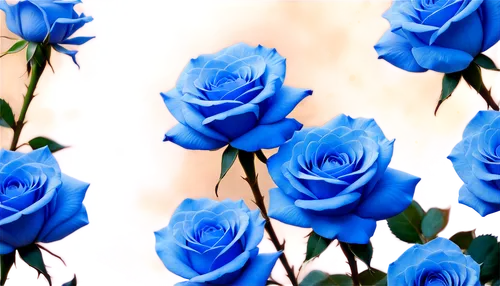 blue rose,blue moon rose,blue flowers,blue petals,blue flower,blue rose near rail,bluebunch,blu flower,blue background,noble roses,bleues,flower wallpaper,rose roses,rosses,blue hydrangea,blue moment,blue color,blueness,color blue,flower background,Conceptual Art,Oil color,Oil Color 10