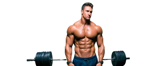 obliques,body building,clenbuterol,muscularity,dumbbells,musculature,anabolic,muscularly,physiques,serratus,muscadelle,pair of dumbbells,fitnes,dumbbell,pec,bodybuilder,muscleman,bodybuilding,hypertrophy,fitness model,Illustration,Paper based,Paper Based 03