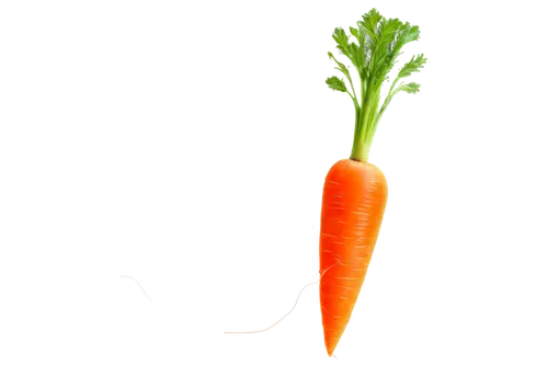 Vibrant orange carrot, solo, fresh, detailed texture, leafy green top, slightly bent, roots visible, natural lighting, 3/4 composition, shallow depth of field, warm color tone, cinematic lighting.,car